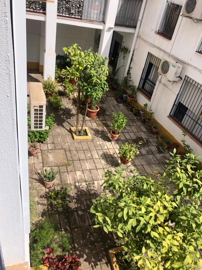 Apartamento Plaza Santa Lucia Renovado Febrero 2025 Севілья Екстер'єр фото
